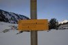 38/3 _DSC0031 Josquin.jpg